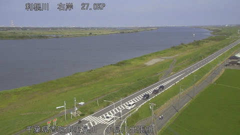tonko2026061315_image