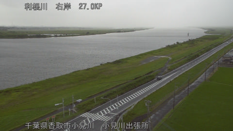 tonko2026061517_image