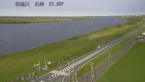 tonko2026061917_image