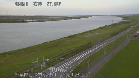 tonko2026062119_image