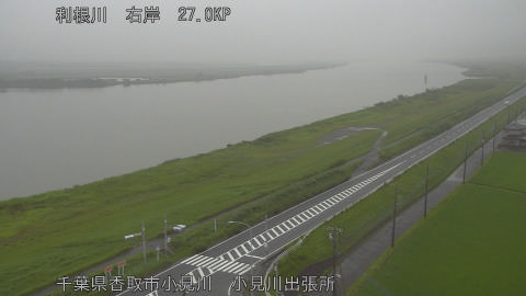 tonko2026062906_image