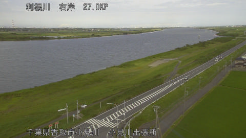 tonko2026062916_image