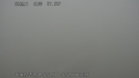tonko2026063005_image