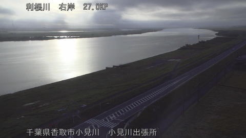 tonko2026081706_image