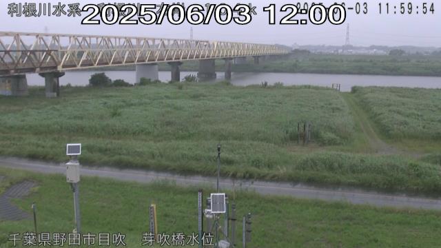 tonme2025060312_image