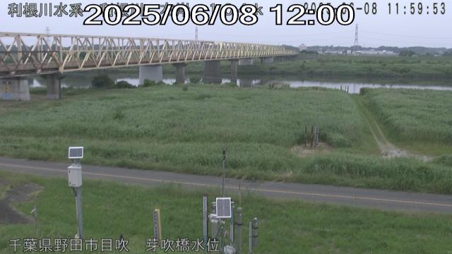 tonme2025060812_image