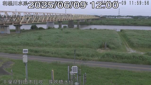 tonme2025060912_image