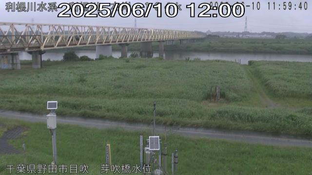 tonme2025061012_image