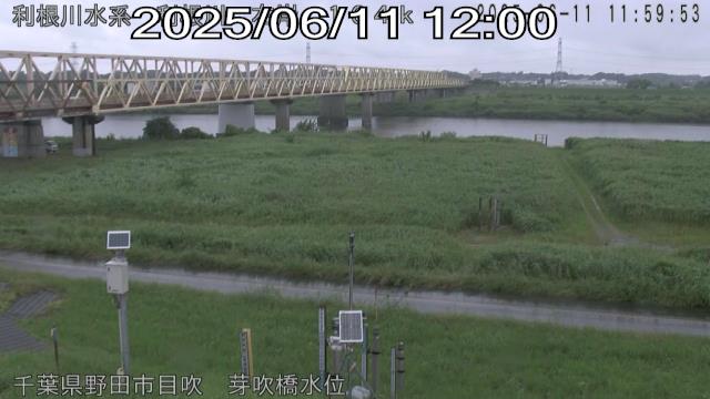 tonme2025061112_image