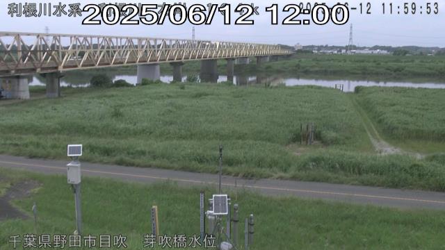 tonme2025061212_image