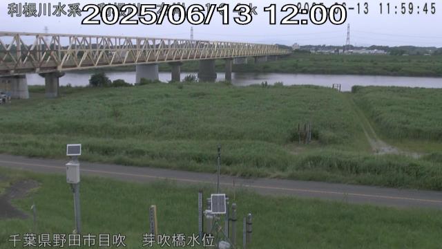 tonme2025061312_image