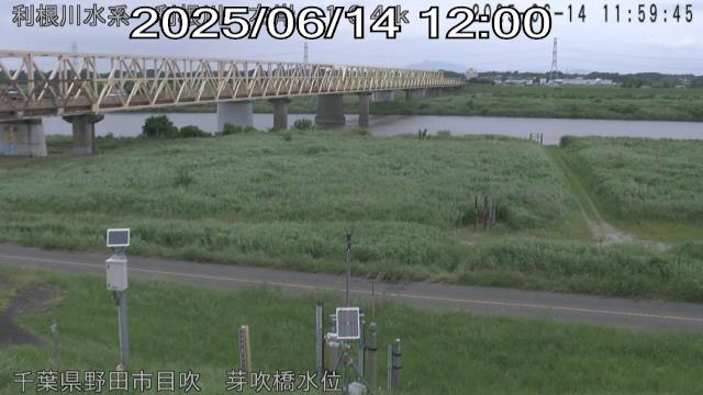 tonme2025061412_image