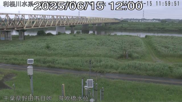 tonme2025061512_image