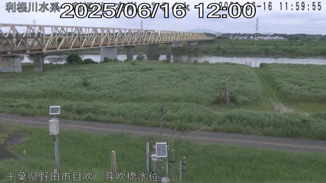 tonme2025061612_image
