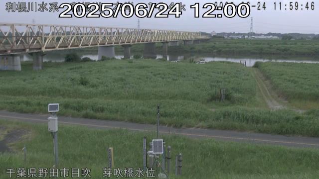 tonme2025062412_image