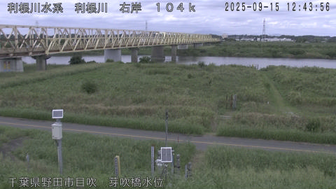 tonme2025091513_image