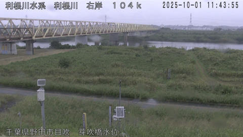 tonme2025100112_image