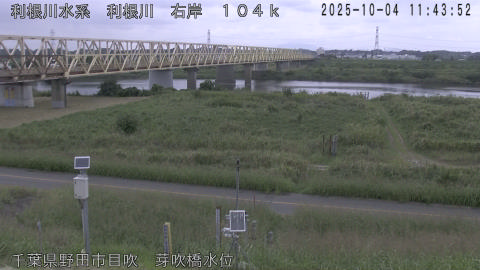 tonme2025100412_image