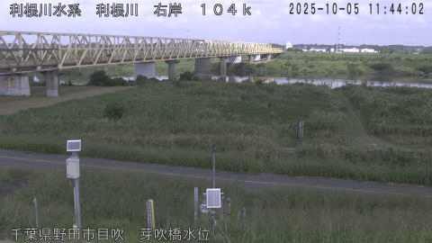 tonme2025100512_image