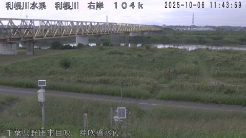 tonme2025100612_image