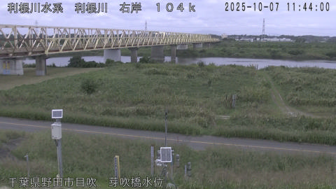 tonme2025100712_image