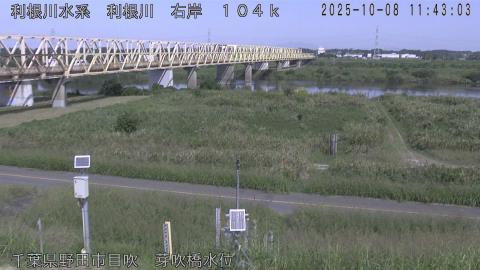 tonme2025100812_image