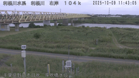 tonme2025100912_image