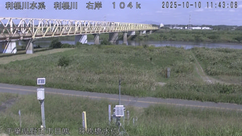 tonme2025101012_image