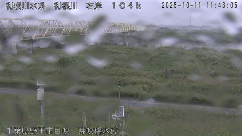 tonme2025101112_image