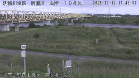 tonme2025101212_image