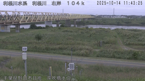 tonme2025101412_image