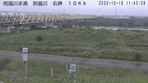 tonme2025101612_image