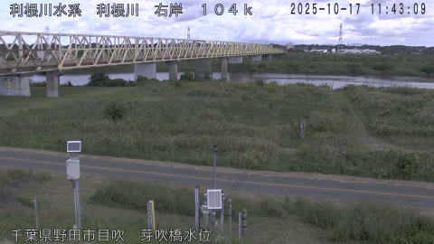 tonme2025101712_image