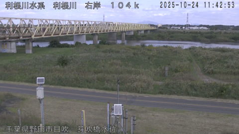 tonme2025102412_image