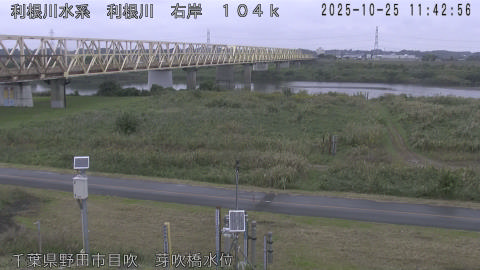 tonme2025102512_image