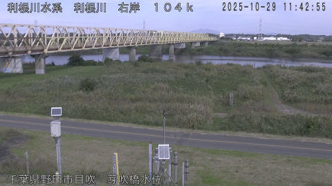 tonme2025102912_image