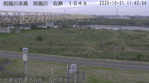 tonme2025103112_image