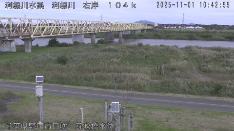 tonme2025110111_image