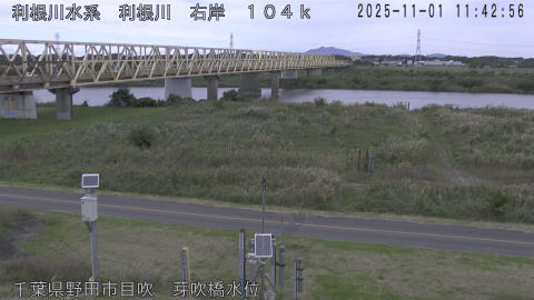 tonme2025110112_image