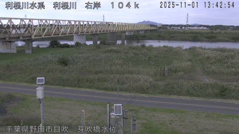 tonme2025110114_image