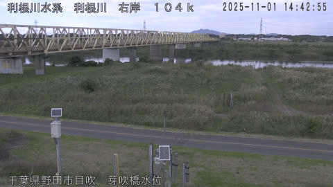 tonme2025110115_image