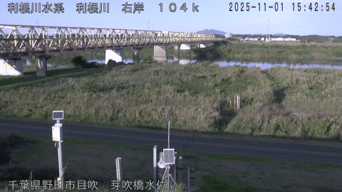 tonme2025110116_image