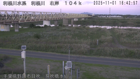 tonme2025110117_image