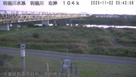 tonme2025110206_image