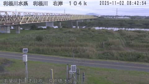 tonme2025110209_image