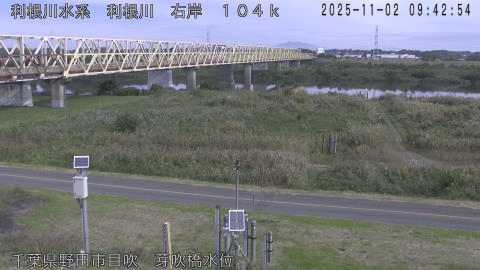 tonme2025110210_image