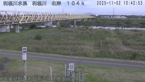 tonme2025110211_image