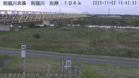 tonme2025110216_image