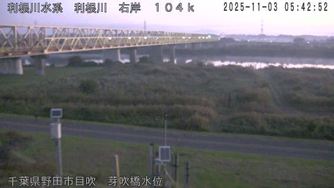 tonme2025110306_image