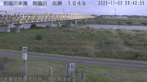 tonme2025110310_image